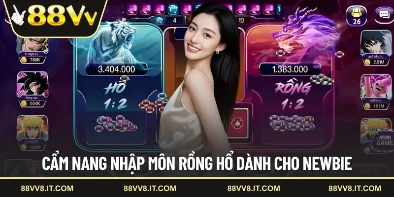 Cẩm nang nhập môn Rồng Hổ dành cho newbie